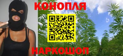 прущие грибы Бийск