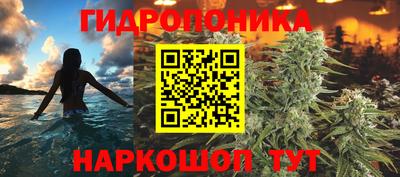 прущие грибы Бийск