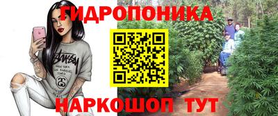 прущие грибы Бийск