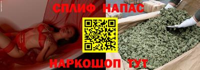 прущие грибы Бийск