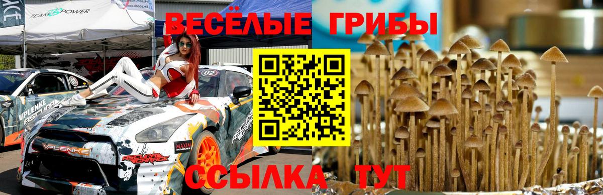 Галлюциногенные грибы ЛСД Изобильный