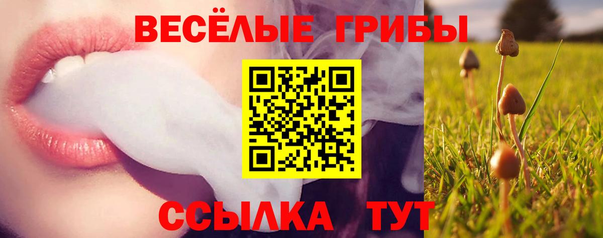 Изобильный  Галлюциногенные грибы Psilocybine cubensis  что такое   Вход с VPN 